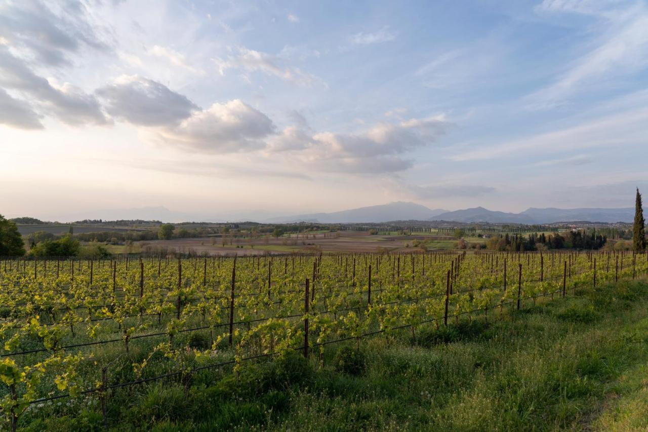 ホテル Ripassoqui Custoza エクステリア 写真